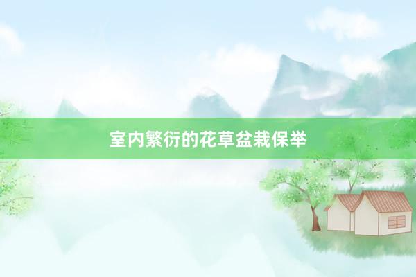 室内繁衍的花草盆栽保举